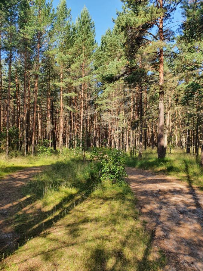 Berzelis Lejlighed Palanga Eksteriør billede
